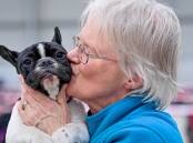BEST FRIENDS: Dawn Elvey and Buffy the French bulldog at the Dog Show. Picture: BRENDAN MCCARTHY