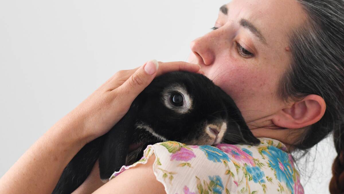 Kelly's Rabbit Warren Rescue is helping to rehome abandoned or surrended rabbits and educating people on responsible pet ownership. 