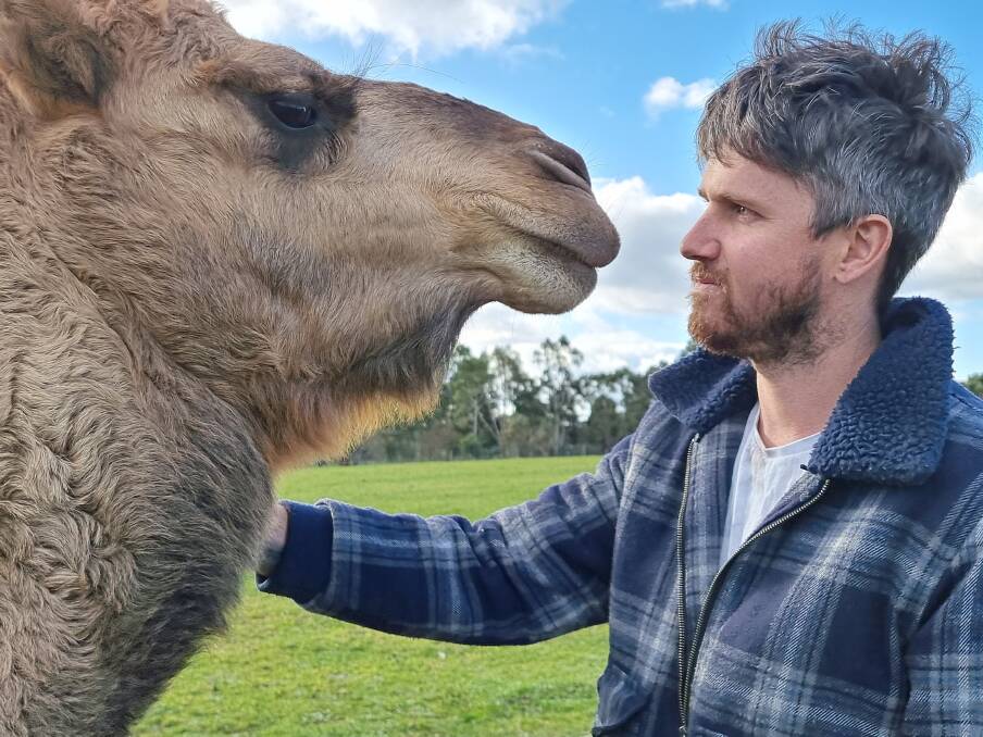 FOREVER FRIENDS: Humphrey the camel is a big fan of humans, but particularly his rescuer Matthew Glascott. Picture: Lucy Williams 