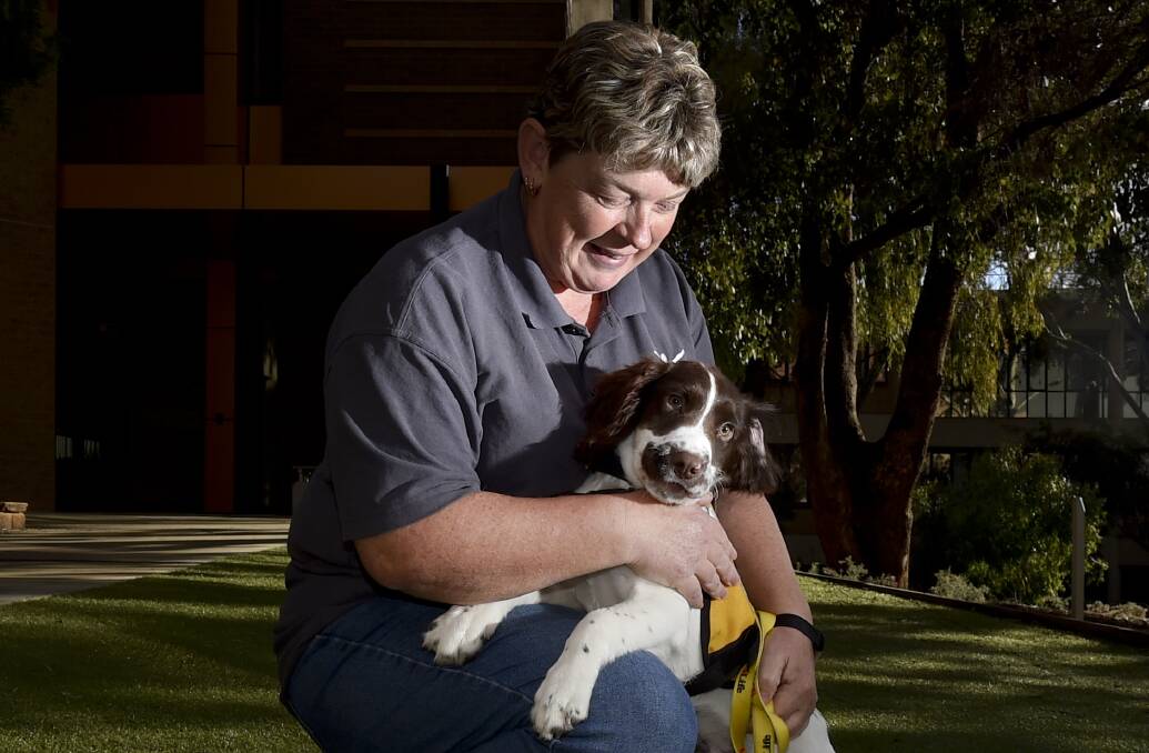 PAW-TENTIAL: Dogs For Life trainer Lana Field with future assistance dog - Doug. Picture: NONI HYETT 
