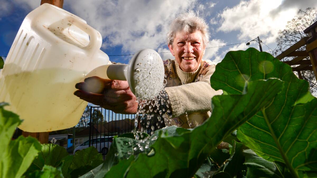 GREEN THUMB: Eileen Warner is one of a team of volunteers giving the community garden at St Matthew's in Long Gully a new life. Picture: DARREN HOWE