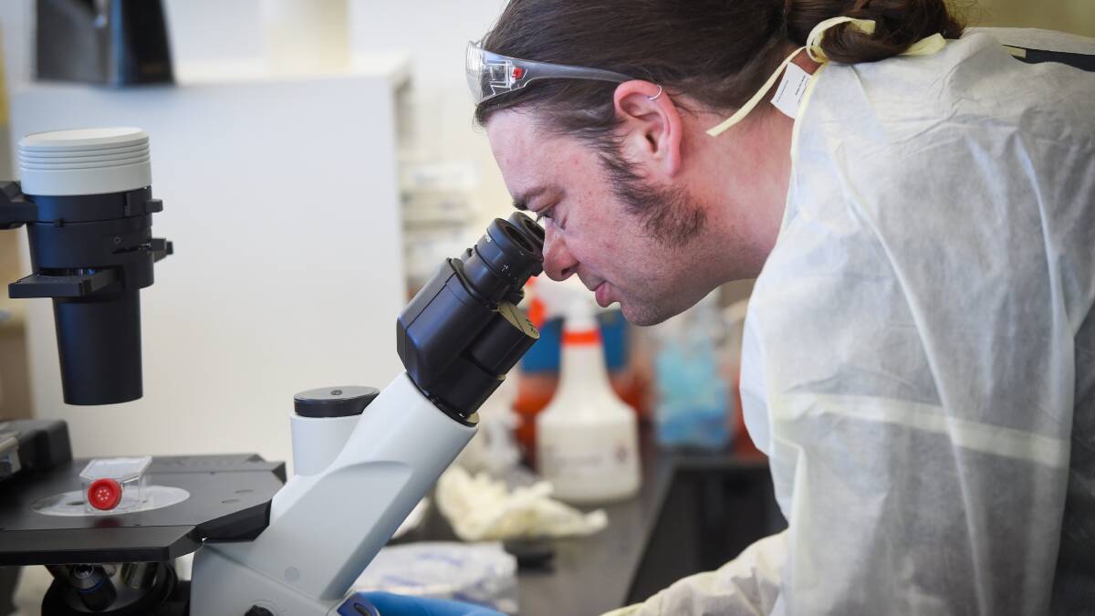 RESEARCH: La Trobe students are looking into a range of cancer-related topics as well as investigating the different levels of specific proteins in muscle. Picture: DARREN HOWE 
