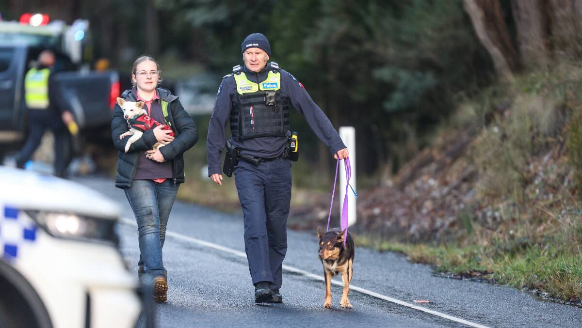 DOGS: Passers-by helped to collect three dogs near the scene on Sunday. Picture: Luke Hemer.