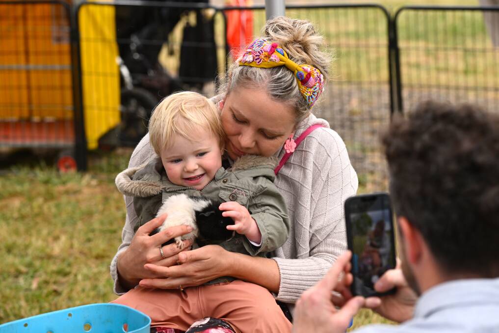 Lilli Rose Hobbs discovers the guinea pigs with mum Jessie Geraghty in a petting zoo during this year's Daylesford Show. Picture by Adam Trafford. 