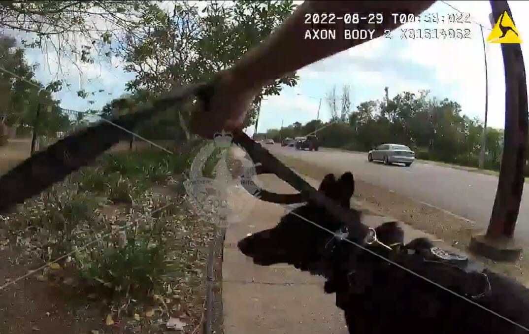 The NT Police Dog Squad had a 'snifficant' success with locating an absconded prisoner. 