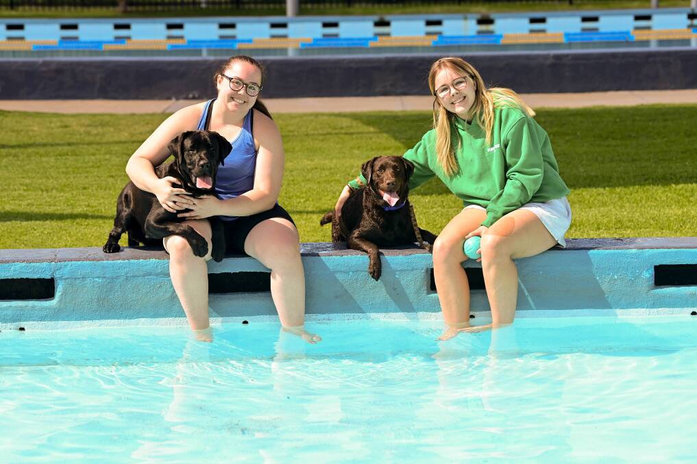 Golden Square Pool is preparing for its second Pools for Paws event. Pictures by Brendan McCarthy