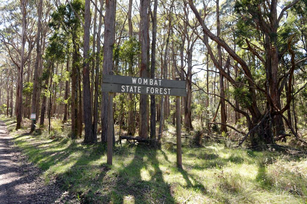 Wombat State Forest is set to become a national park at some point in the future. Picture file