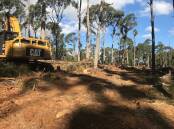 A section of the Wombat forest in February 2024 during forest fire management activities. Picture supplied