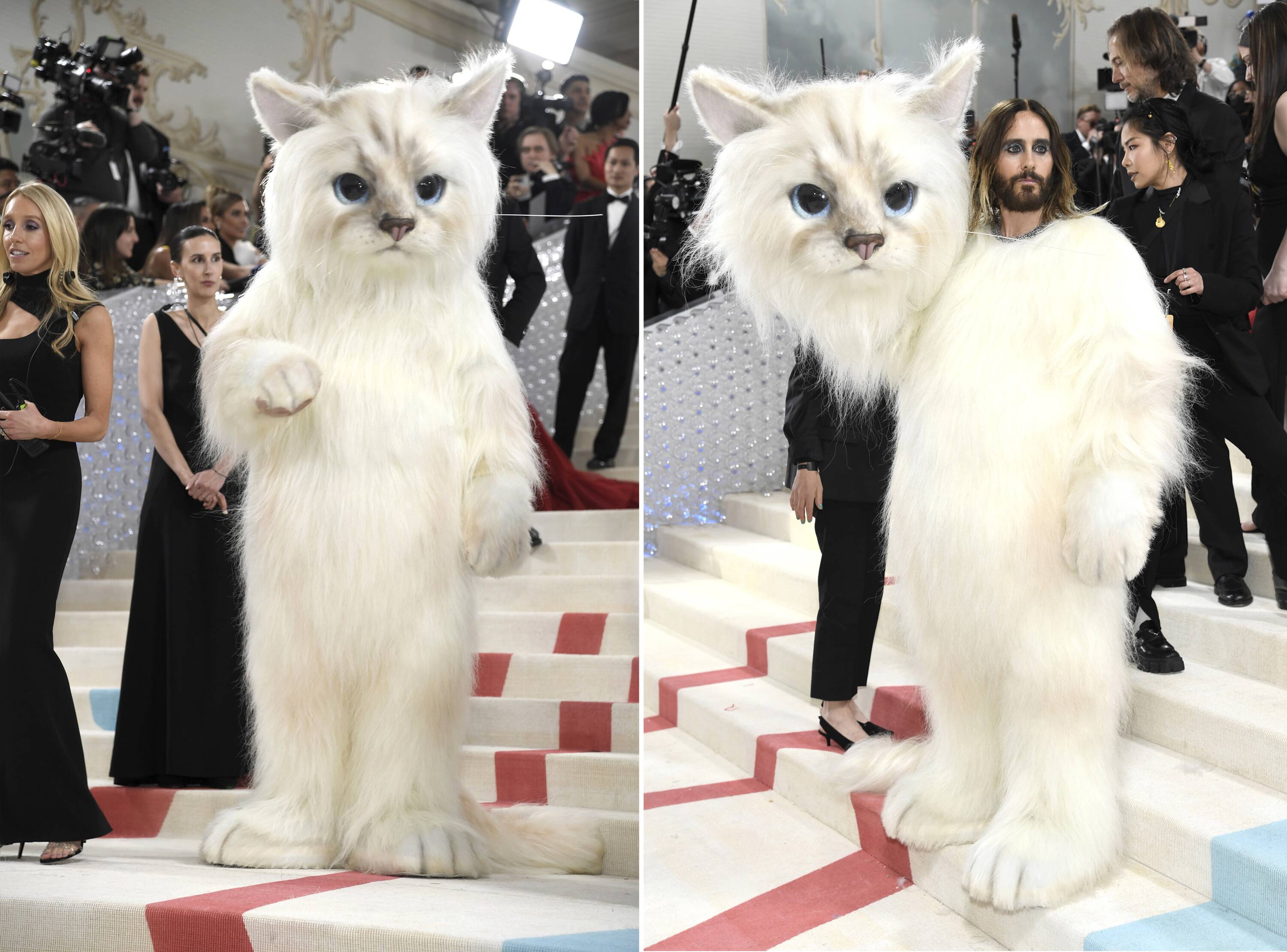 Celebs embody Karl Lagerfeld's cat Choupette for Met Gala 2023, Bendigo  Advertiser