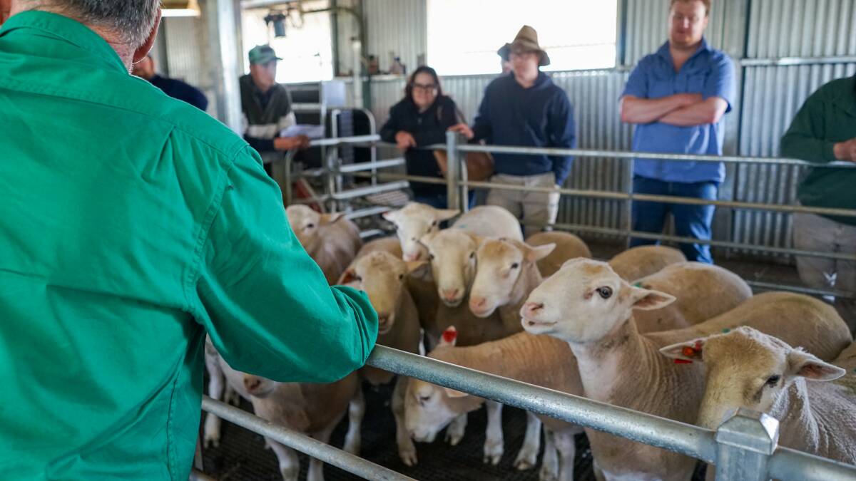Pepperton Poll Dorsets & White Suffolks hosted a sheep information day in the stud's shearing shed at Elmore with the region's experts, on maximising genetics, biosecurity, and animal health. Picture by Rachel Simmonds