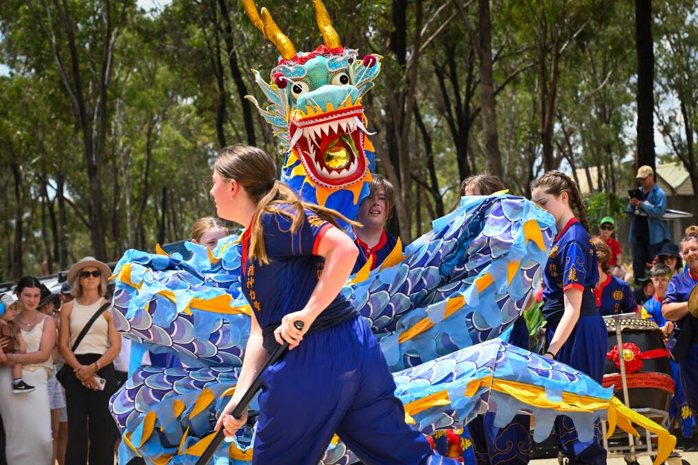 Central Victorian Lion Team celebrate the Lunar New Year at the Great Stupa in 2023. Picture by Darren Howe
