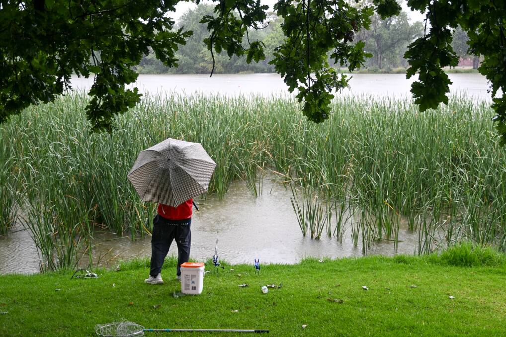 The rain didn't stop one person from heading to Lake Weeroona on January 7. Picture by Enzo Tomasiello.