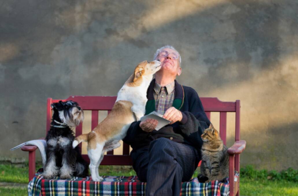 BENEFITS: Companion animals give so much to older people, so it's important to be pet-safe.