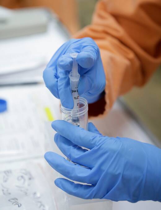 Scientists starting to test vaccines for COVID-19 at CSIRO's Australian Animal Health Laboratory. Picture: supplied