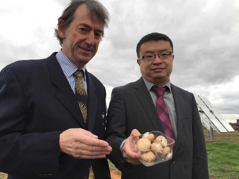 RayGen's John Lasich and ZhauZhou Intense Solar's Zhen Mu are planning a Chinese project based on a pilot at the Newstead mushroom farm site.