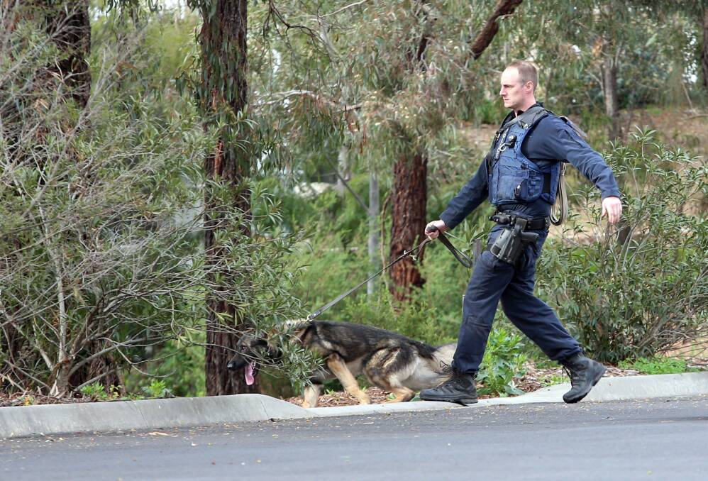 A member of the dog squad tracks a number of wanted men in Bendigo last week. Picture: GLENN DANIELS