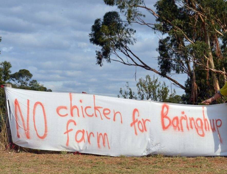 Baringhup broiler farm back to court