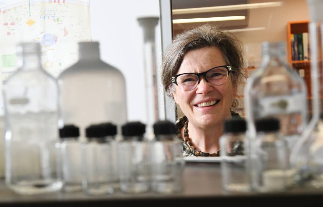 Expertise: Biomedical science professor Helen Irving says she has joined La Trobe Bendigo at an “exciting time in biological science”. Picture: DARREN HOWE