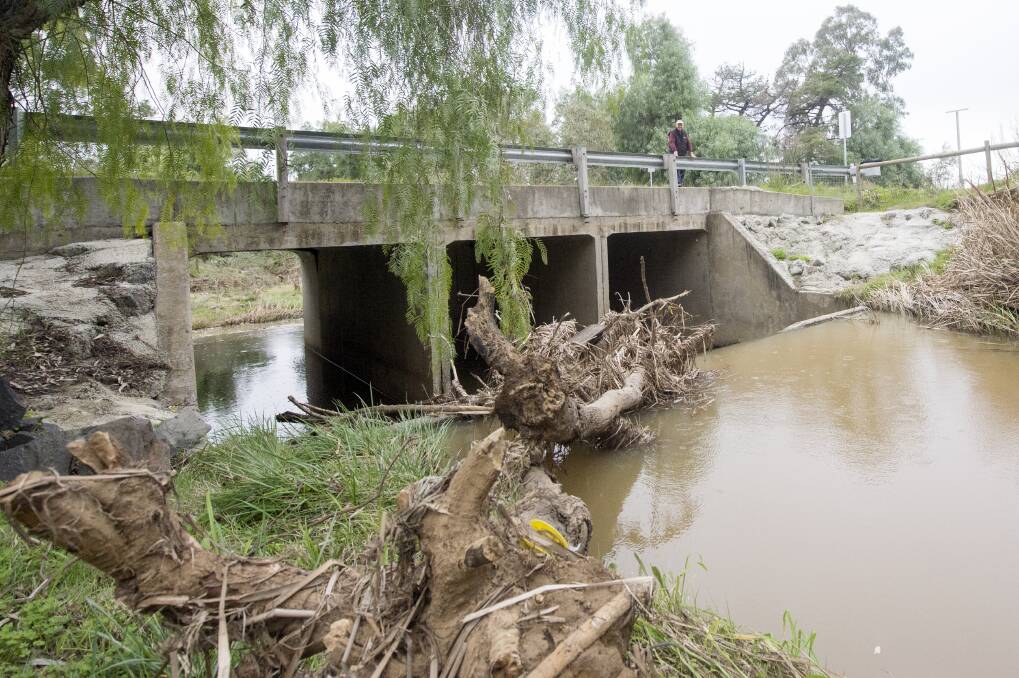 Lindsay Sargeant says an over-reliance on technical data has led to errors in the Bendigo Urban Flood Study. Picture: DARREN HOWE