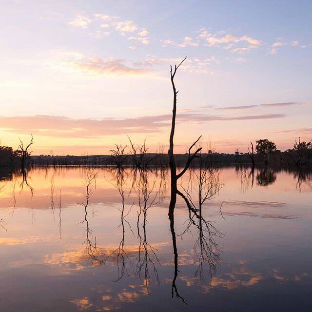 A beautiful #sunset #picoftheday thanks to @kyliek_photography! Tag your weather pics #bendigoweather and we'll feature the best ones here.