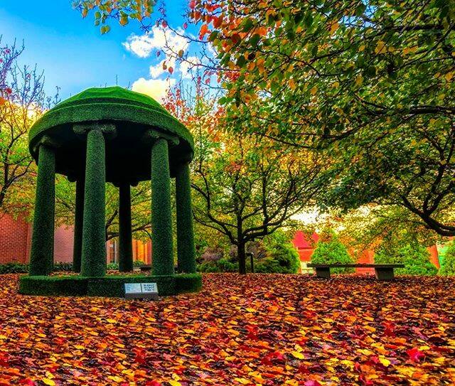 "Here is my contribution to autumn! Autumn (fall in other countries) is close to peaking, taken just outside the art gallery." Today's Instagram #picoftheday is by @jed2121 - tag your weather pics #bendigoweather and we'll feature the best ones here. More autumn pictures: tap the image above