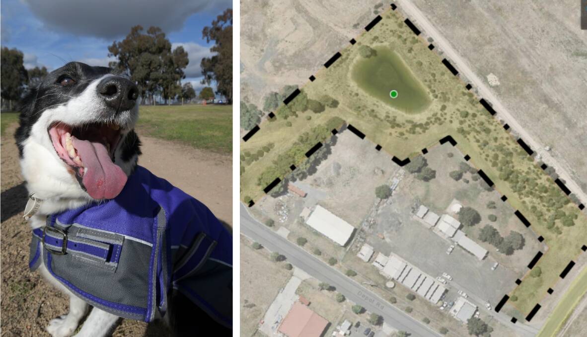 The proposed location of an off-leash dog park on Depot Road in Heathcote and (left) Maggie enjoys the recently-opened dog park at Truscott Reserve in California Gully. Picture: NONI HYETT