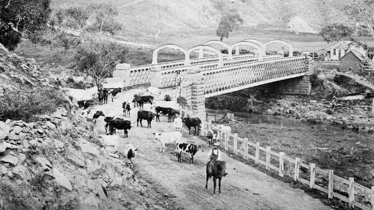 Cattle cross the Redesdale Bridge in its early years.