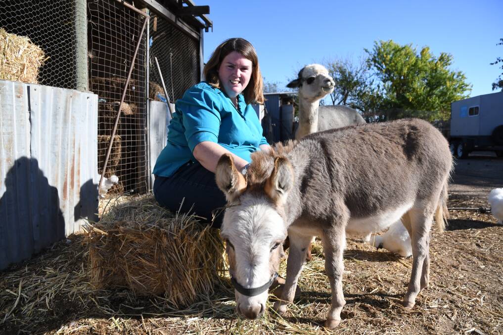 Flash Farm founder Kristy Kemp with the micro donkey and one of the alpacas on the animal therapy farm in Myers Flat. Pictures: ADAM HOLMES