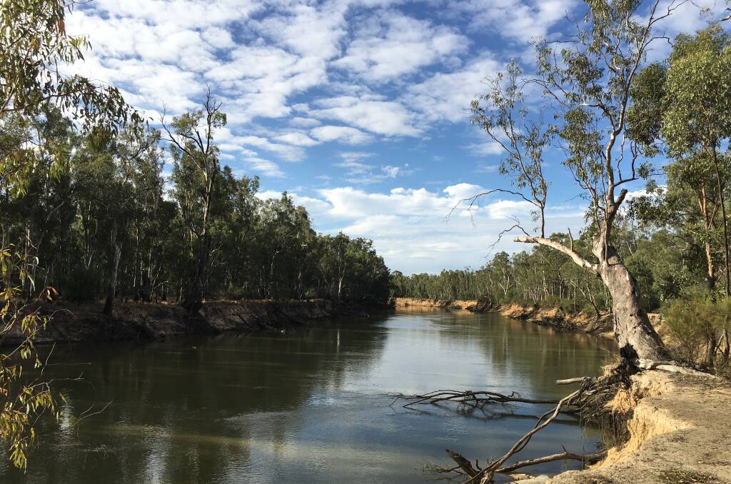 Farmers selling their water entitlements too soon has resulted in financial hardship down the track, while others are concerned that water uncertainty is having social impacts on Murray River communities.