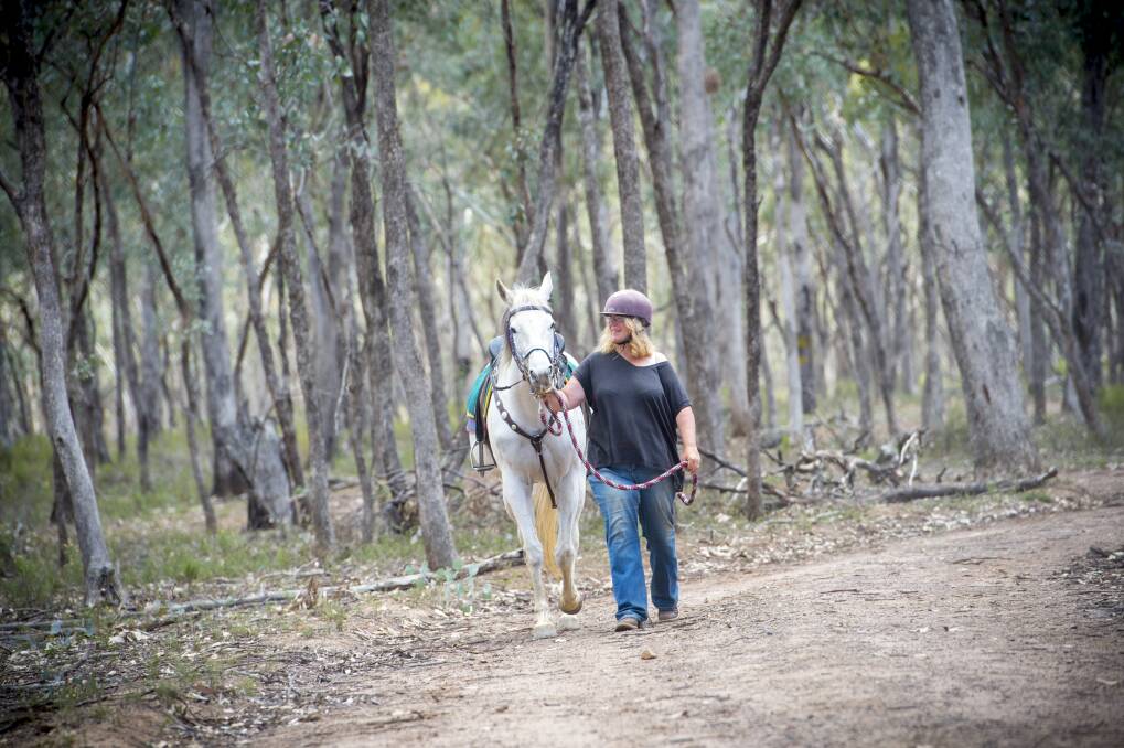 Raylene Sambrooks walks a horse - that raced in 54 meets - on a track in the Wellsford forest, aiding in rehabilitation. Picture: DARREN HOWE