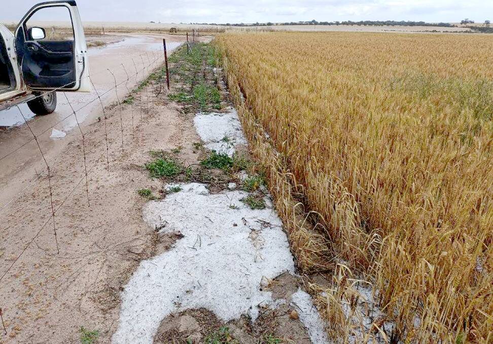 Hail can devastate broadacre crops.