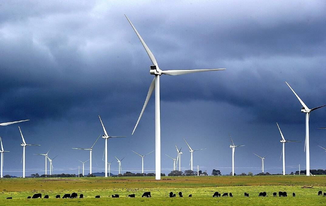 Wind turbines have been blamed for killing vulnerable native birds. File picture.