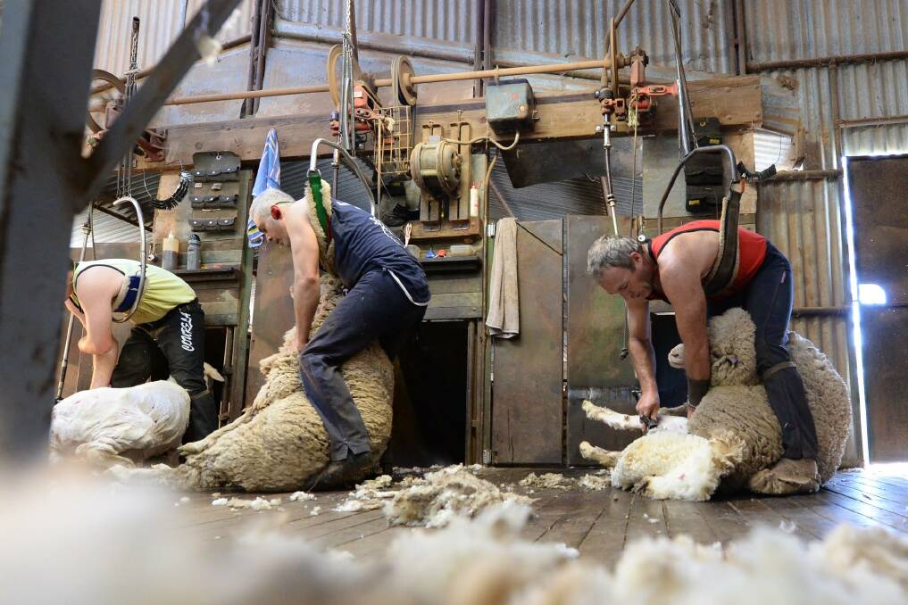The payment of above award rates for shearers is proof farmers can afford to pay more, according to the Australian Workers' Union. Picture: SUPPLIED