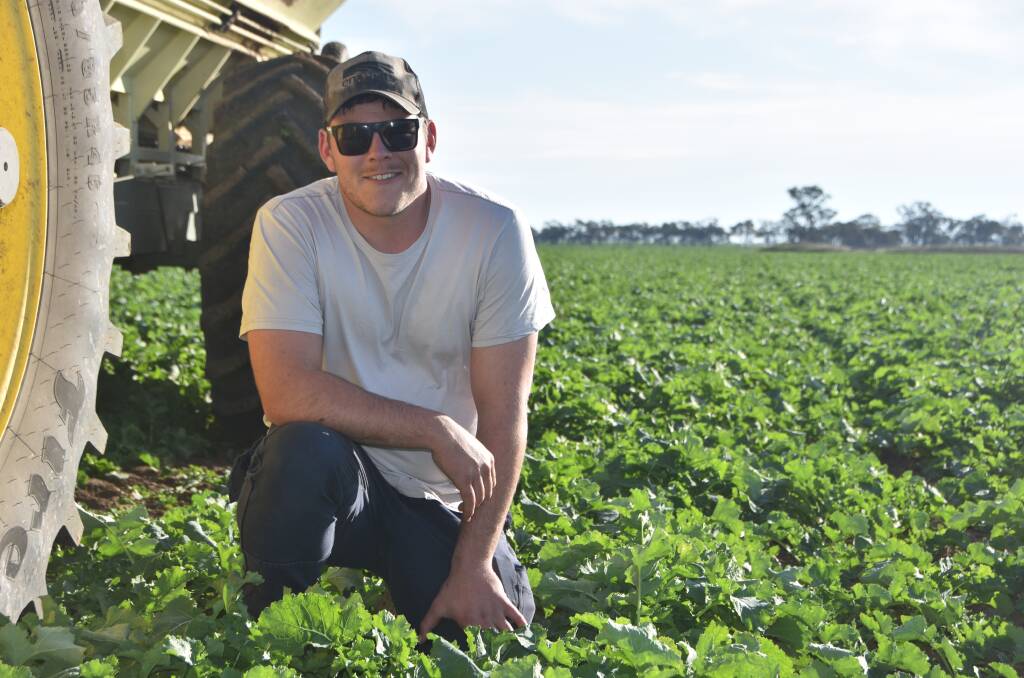 Daniel Pearce, Donald, was busy applying urea for Mark Griffiths in a Hyola 559 canola crop west of the town earlier in the month.
