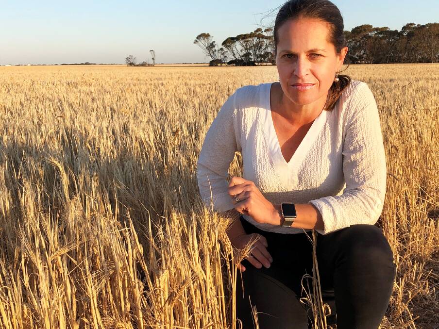 Cheryl Kalisch Gordon, Rabobank senior analyst, forecasts a big jump in Australian crop production this year should the positive start continue through the growing season. 
