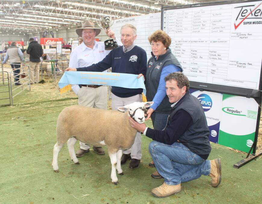 TEXEL TRIUMPH: Tattykeel's Graham Gilmore, judge Paul Gardner and Tullamore Park's Liz and Peter Russell, with the Grand Champion. Picture: Andrew Miller.
