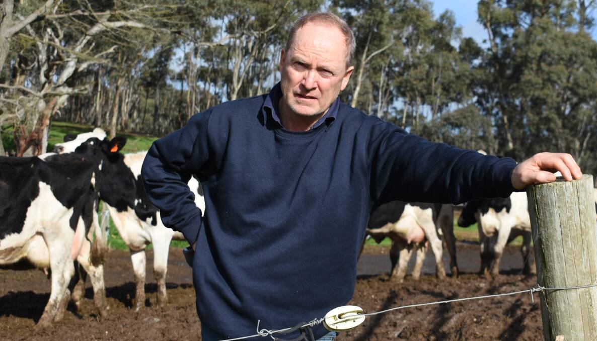 LINE CONCERNS: Yandoit dairy farmer Robert Morrison says the proposed VNI West transmission line may mean the end of his business. He says he's only just found out about the project, linked to a new Newlyn substation.