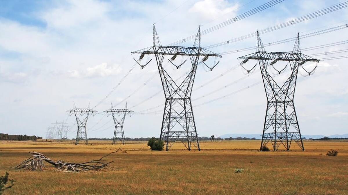 VFF members will be asked to vote on two resolutions on the controversial VNI West transmission line, at next week's annual conference. Supplied picture