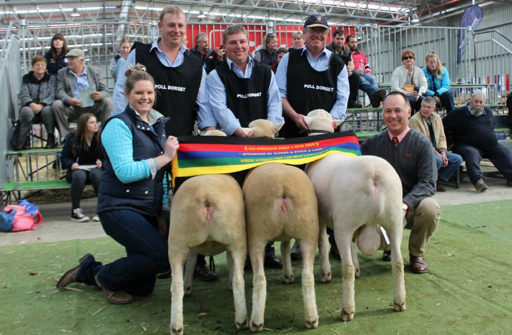 Dianna Branson, with Hillden Poll Dorset Stud team Anthony, James and Brian Frost, Bannister, NSW, with Elders' Jim Bruce. 