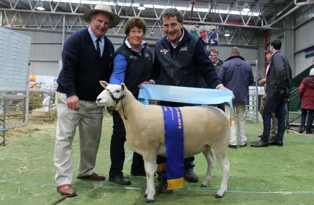 Judge Peter Hood, Pittsworth, Queensland with the 2015 supreme Texel exhibited by Liz and Peter Russell, Tullamore Park, Donald.