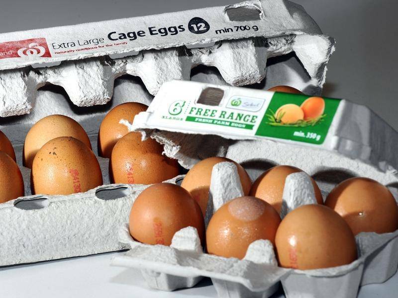 ‘How do you like your eggs?’ The CSIRO and Australian Eggs ask