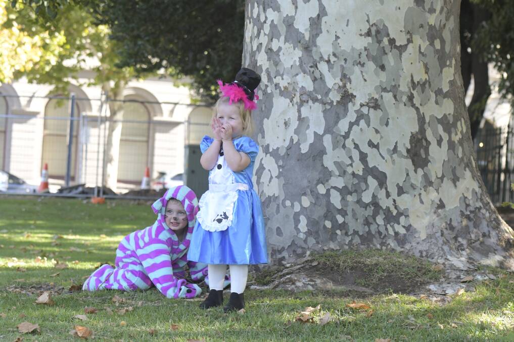 Archie Cartwright, 3, as the Cheshire Cat and Laihton Ridgeway, 2, as Alice. Picture: NONI HYETT