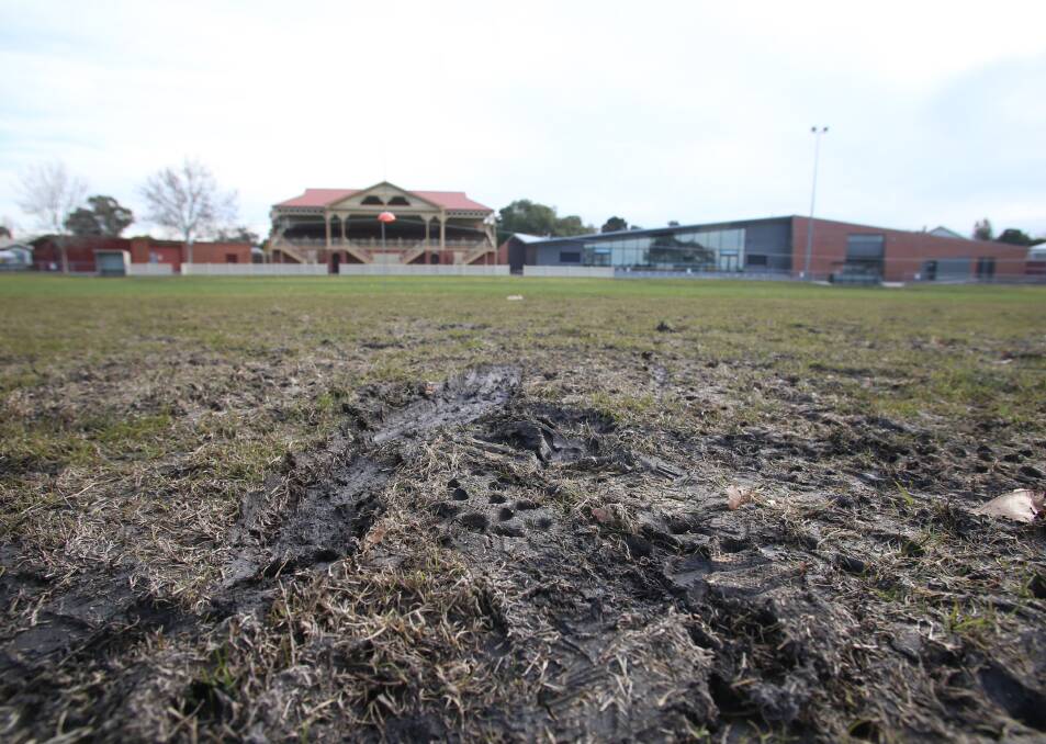 GROWING ISSUE: With fields being used more frequently, overuse is a potential issue. Canterbury Oval, at Eaglehawk. Picture: GLENN DANIELS