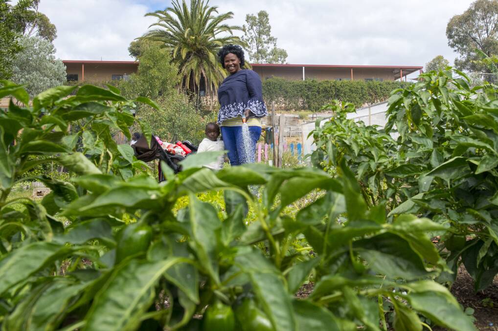 Lilian John tends to the Gravel Hill Community Garden as part of the Friday Food Safari program. Picture: DARREN HOWE