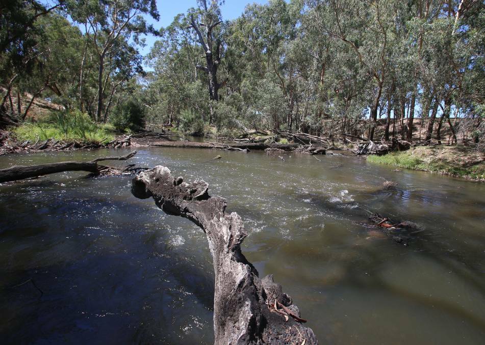 People were warned to avoid contact with water in the Campaspe River in June after Coliban released treated industrial waste water. Picture: GLENN DANIELS