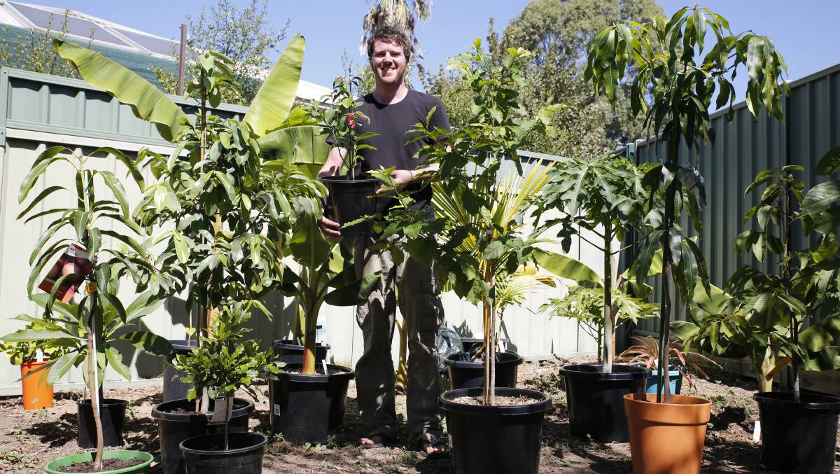 Rowan Blackmore with some of his plants, most of which would generally be found in the tropics rather than in Bendigo. Picture: EMMA D'AGOSTINO
