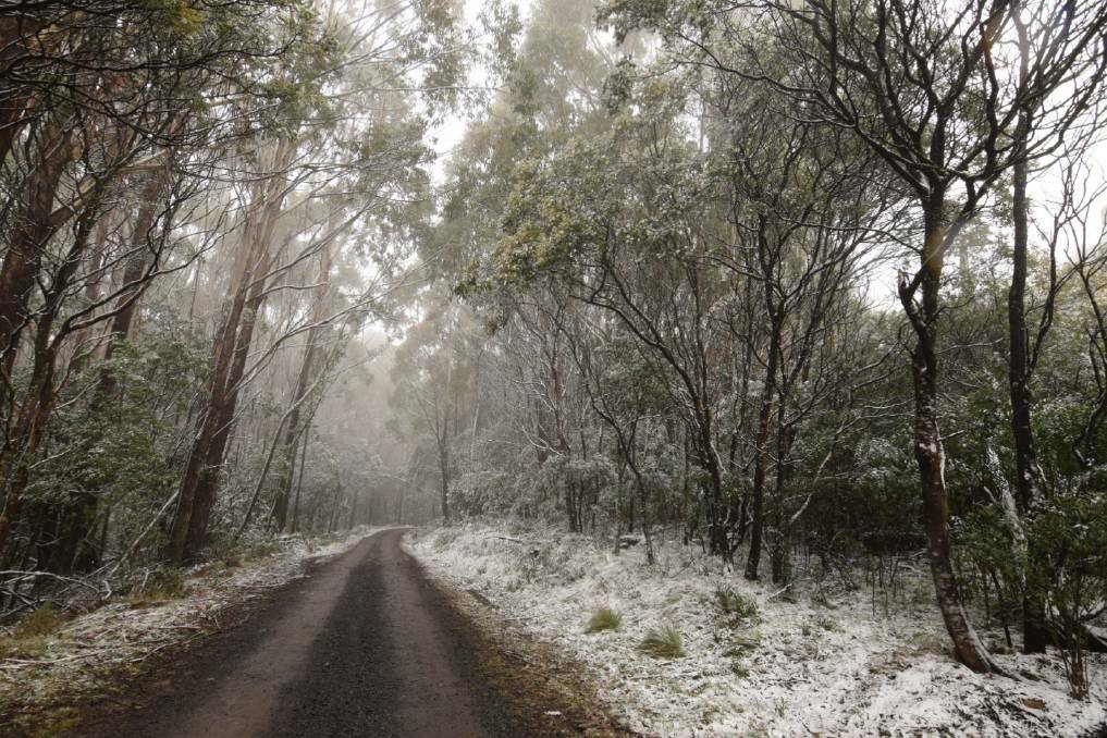 Freezing conditions at Mount Macedon last winter. Picture: NONI HYETT