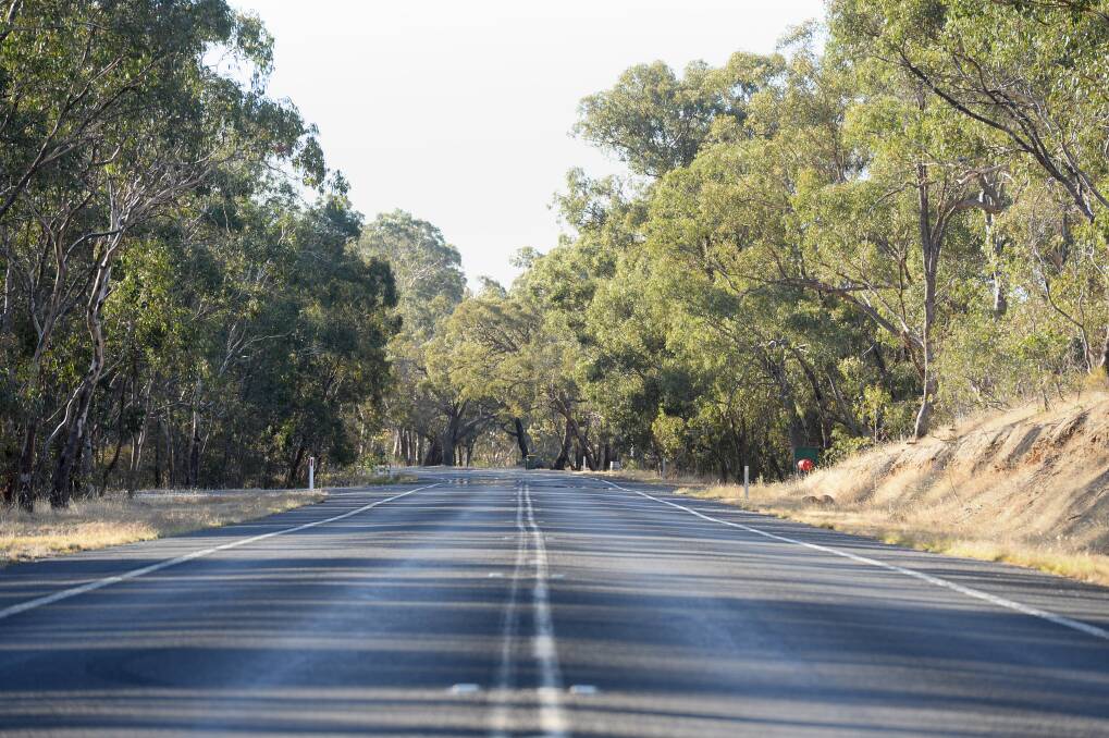 Victorian road toll inquiry recommends speed limit review