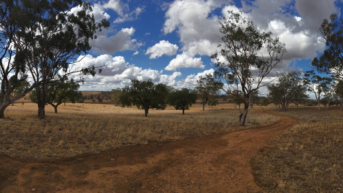 SUNBURNT COUNTRY: The family farm in northern New South Wales where I grew up.