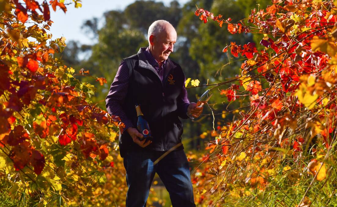 VINTAGE: Wes Vine from Mandurang Valley reflects on his winery's win. Picture DARREN HOWE